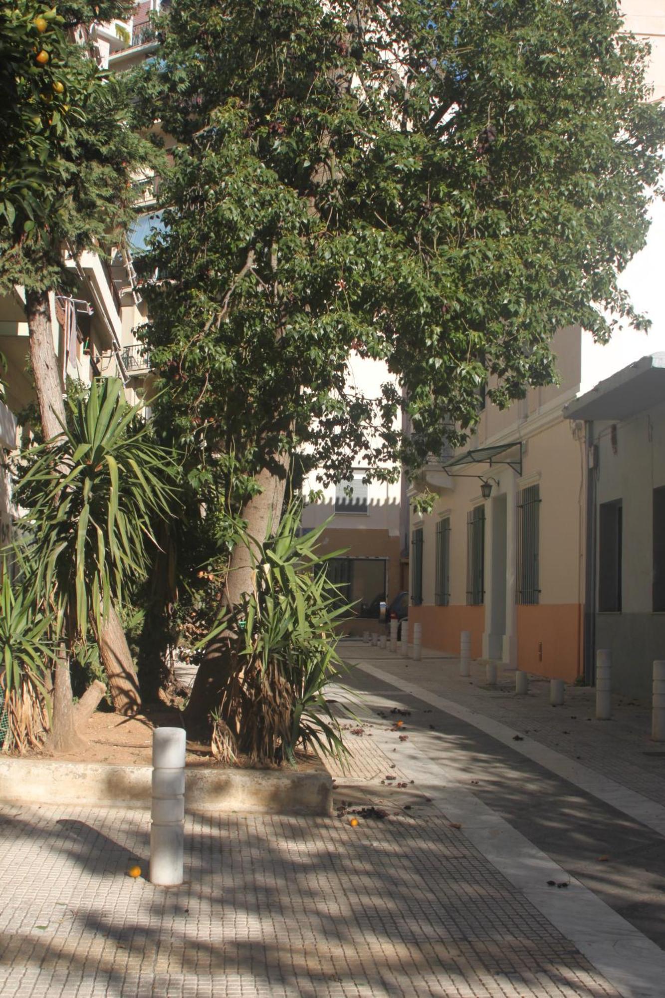 "Under The Olive Tree"- Beautiful Apartment In The Heart Of 아테네 외부 사진