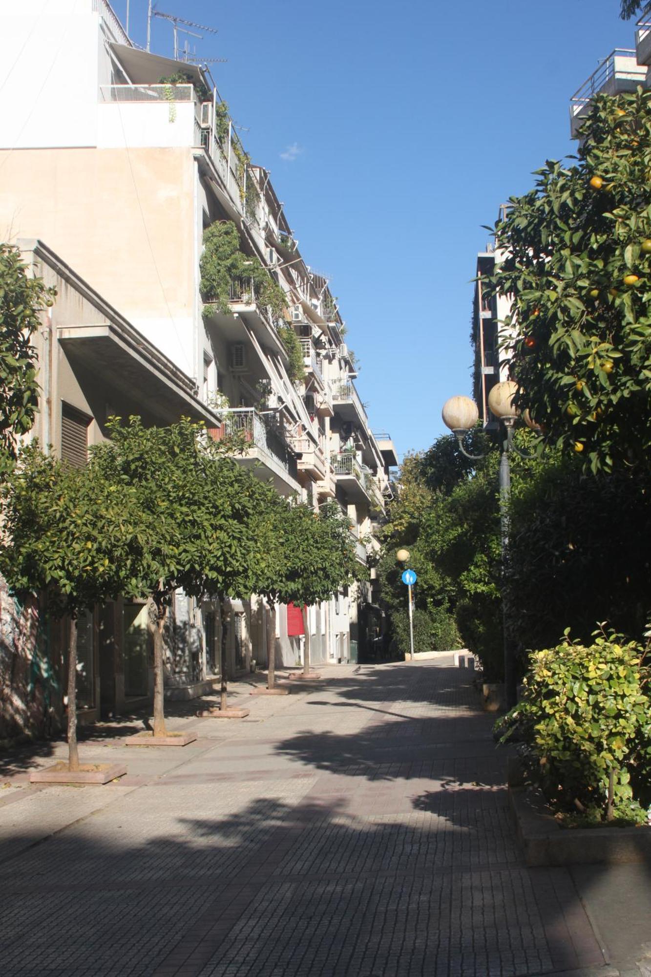 "Under The Olive Tree"- Beautiful Apartment In The Heart Of 아테네 외부 사진