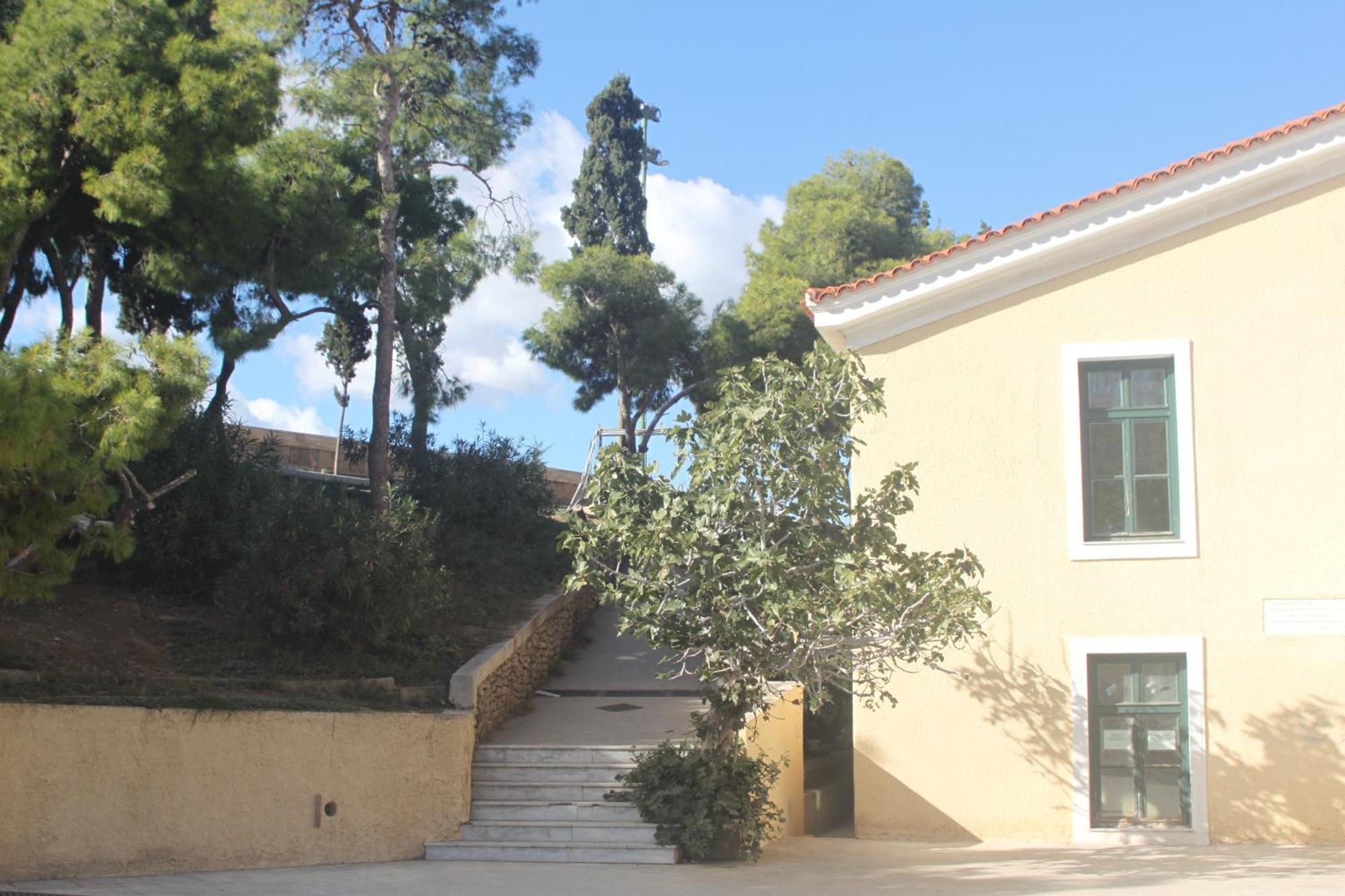 "Under The Olive Tree"- Beautiful Apartment In The Heart Of 아테네 외부 사진