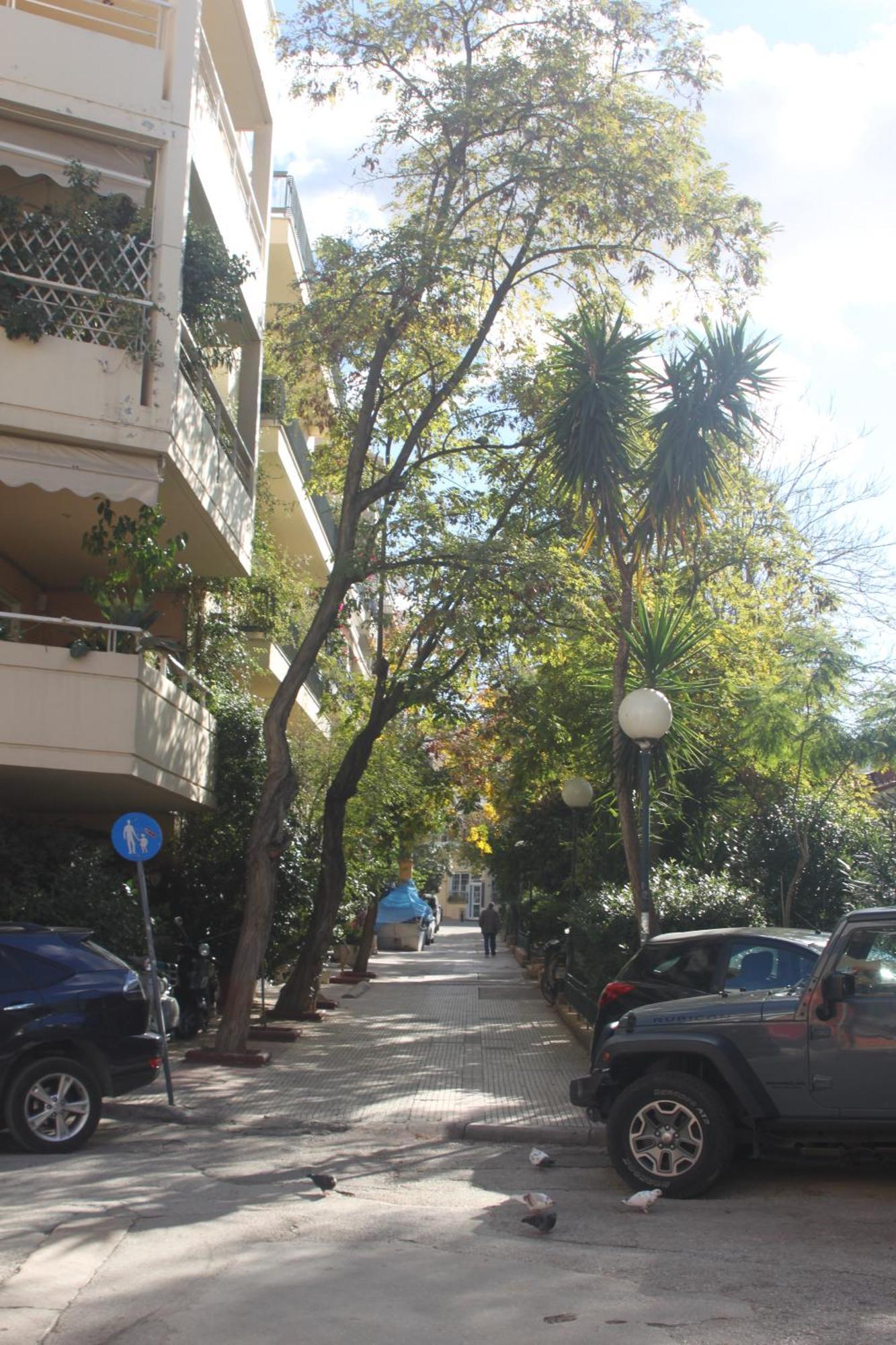 "Under The Olive Tree"- Beautiful Apartment In The Heart Of 아테네 외부 사진